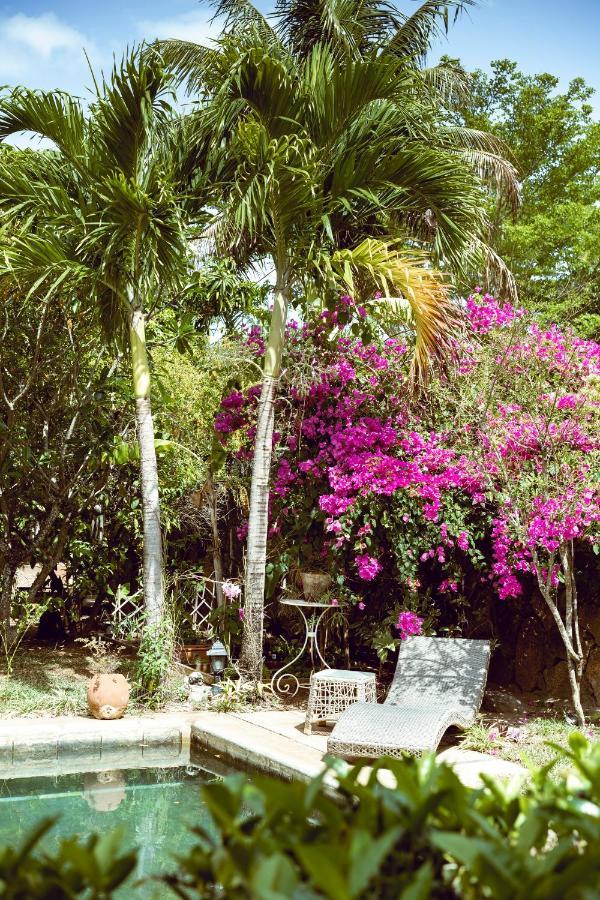 The River House Bed and Breakfast Tamarin Esterno foto